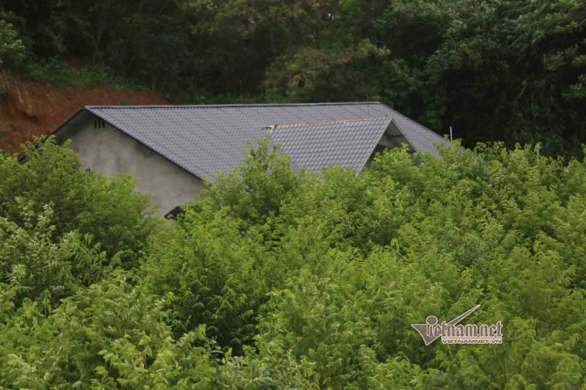 Bí ẩn dãy biệt thự mọc trên đất rừng ở Vĩnh Phúc