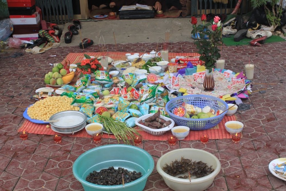 3622_mam-cung-chung-sinh