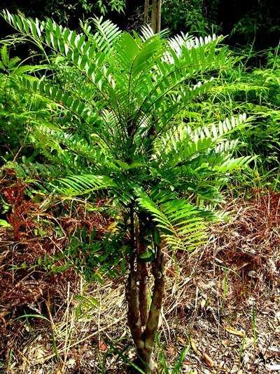 20161106095455-mat-nhan2