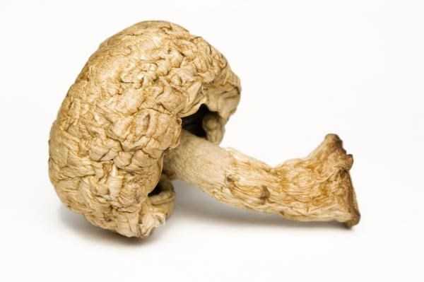 cach-nhan-biet-nam-con-an-duoc-nua-hay-khong-hinh-4