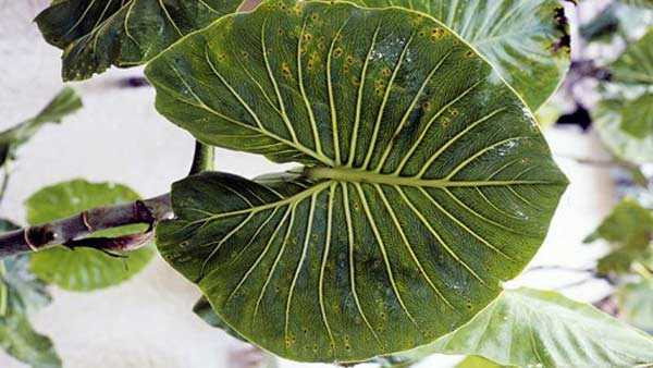 14761092143038-5_okcx