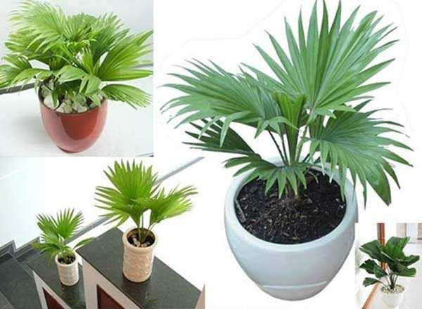 147610921480578-2_ntuv