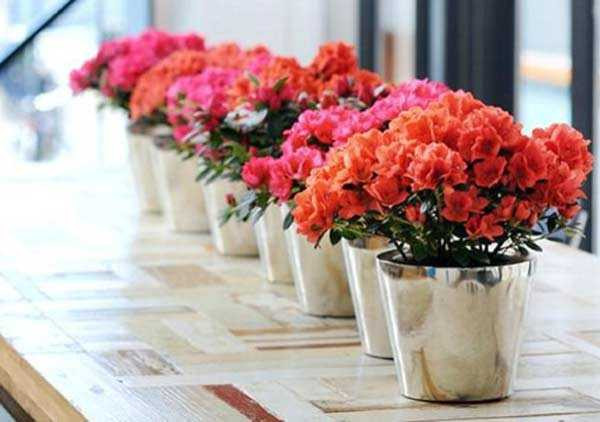 147610921482599-7_mkqb