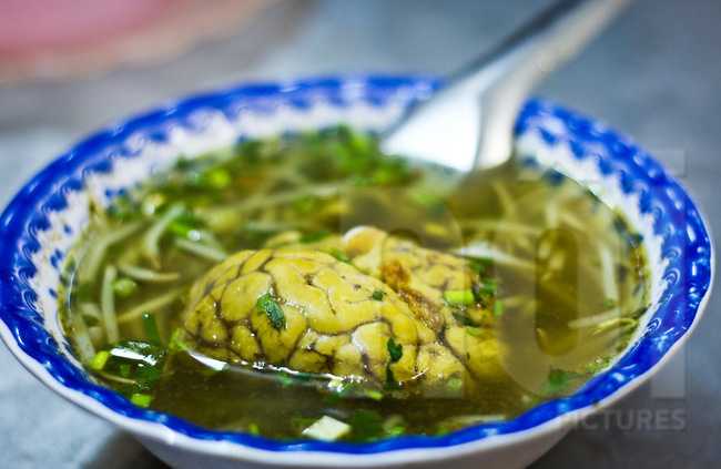 pig-brain-soup-vietnamese-street-cuisine-hanoi-vietnam-dominic-blewett-noi-pictures-02-2-1472921659301