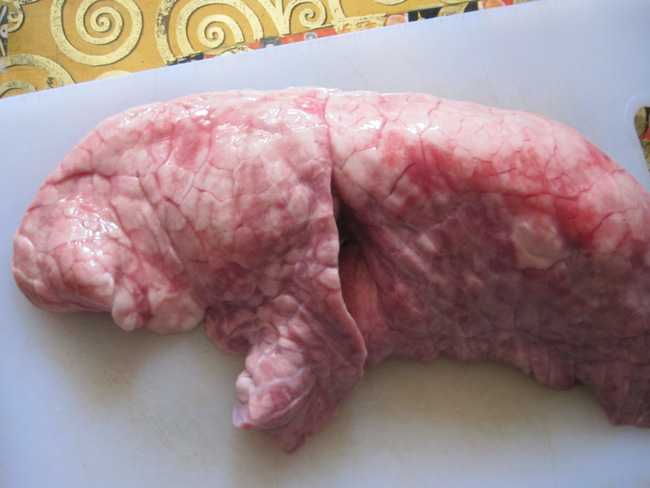 pig-lung-1472921659294