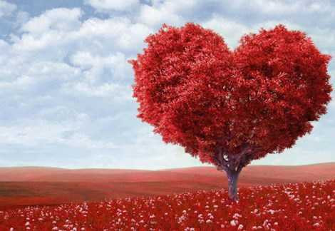 1-redheartlovepicture98031428628419uykl3d8632d5e2cp-1428635059468