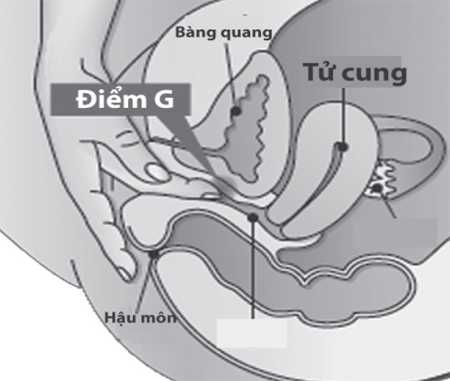 diem-G-50e43