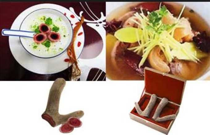 nhung-huou-vi-thuoc-quy-cho-dan-ong-110-15092015174037