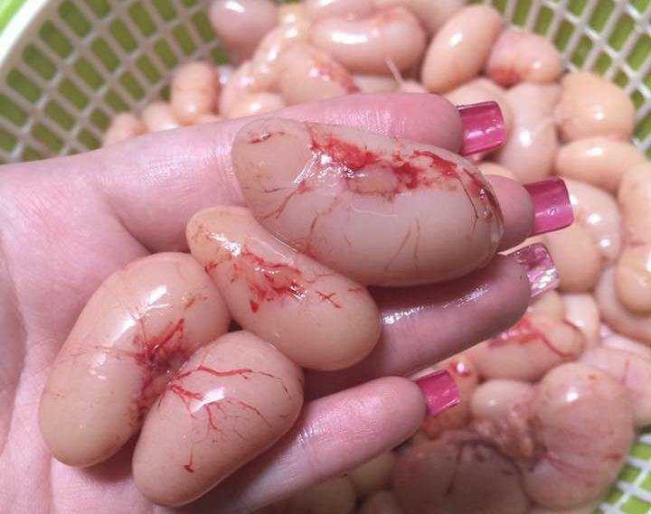 20161215093550-ngoc-ke-1