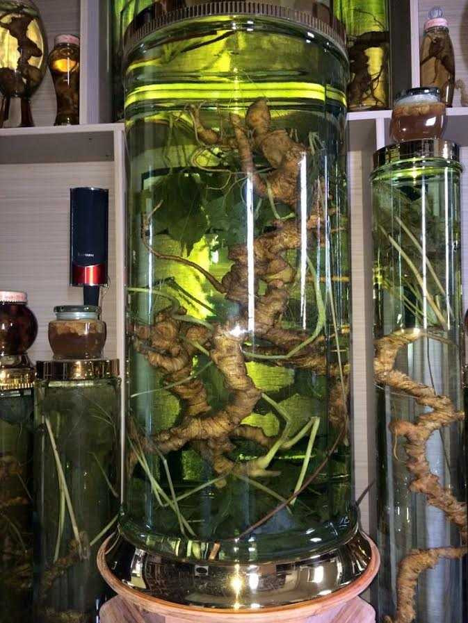 20161221085146-sam-ngoc-linh4