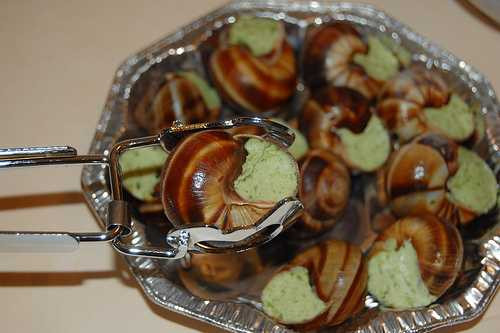 An-oc-sen-nuong-be-trai-8-tuoi-bi-viem-mang-nao-1