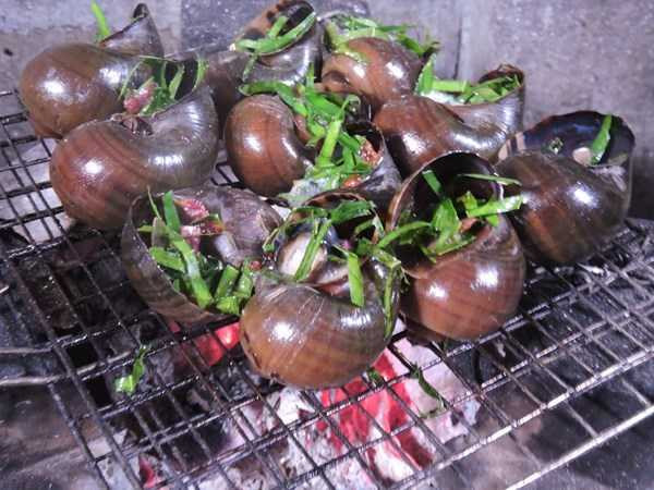 photo-0-1482230561079