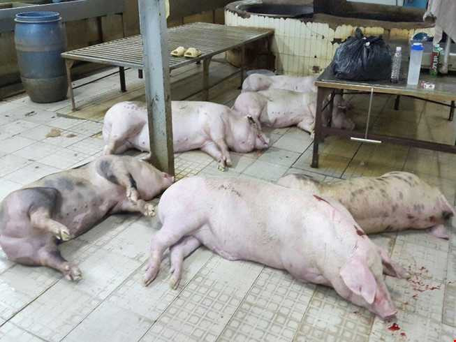 hhhhhhhhhhhhhhhhhheobomnuo1_BWJJ_thumb