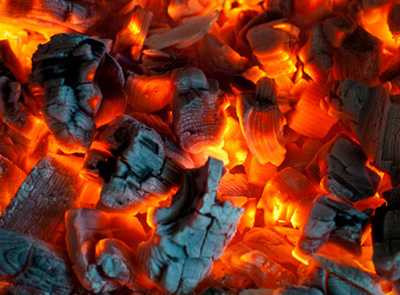 photo-0-1484666685139