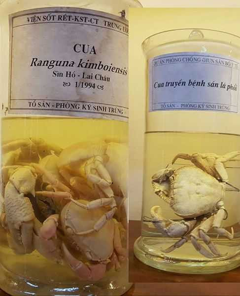 ki-sinh-trung-11-1486715412777