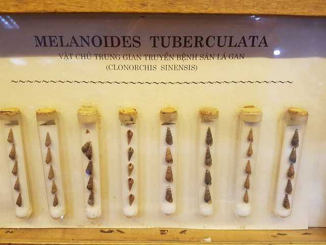 ky-sinh-trung-2-1486572762123