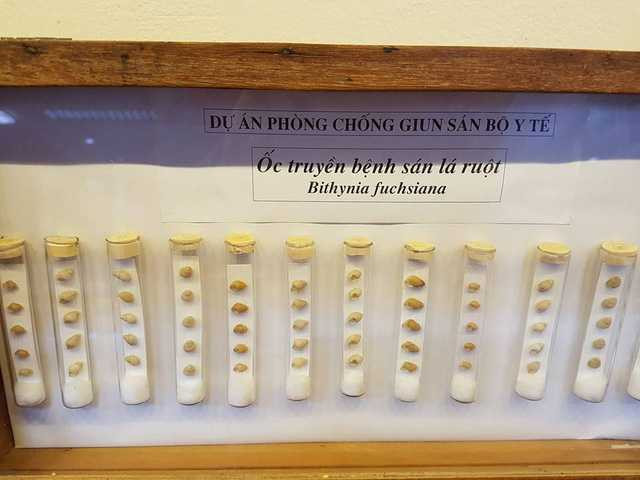 ky-sinh-trung-3-1486572762125