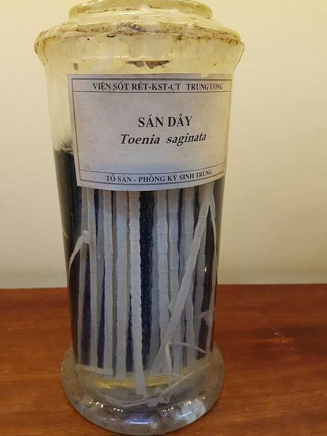 ky-sinh-trung-5-1486572762130