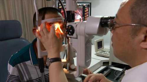 diaz-pig-eye-transplants-4-201-2277-2054-1487556889