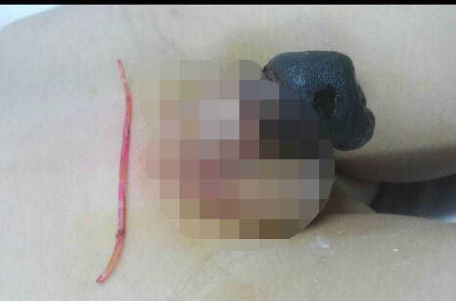 cua-quy-1487915302624