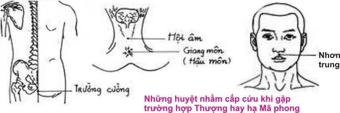 8-thuong-ma-phong-7-1406898422118