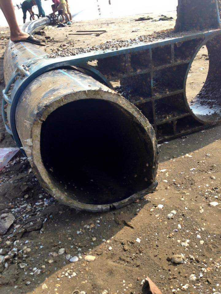 Người lạ ra giá trăm triệu đồng mua “vòi rồng” tìm thấy trên biển - ảnh 3