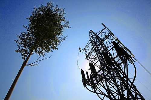 hn: ky la hang tram cay xanh trong duoi duong dien cao the hinh anh 3