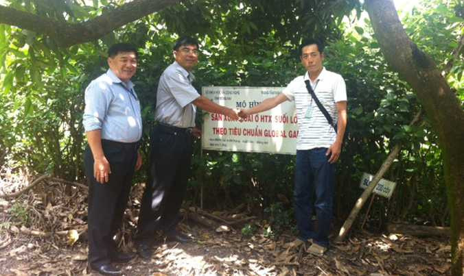 Xoài Suối Lớn xuất ngoại - ảnh 1