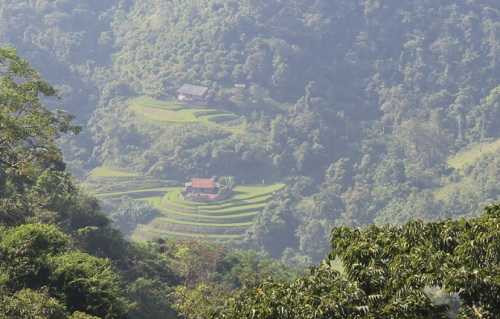 11 hộ dân xóm Pá Mị sống rải rác theo triền núi, trong khe suối, trước khi làm đường phải đi men theo bờ suối hơn 5km. Ảnh: Hồng Vân