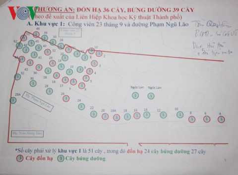 don ha, di doi 75 cay xanh de xay dung duong sat do thi o tp.hcm hinh 2