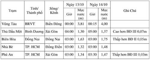 tp.hcm: 9 tuyen duong sap bi ngap du khong mua hinh anh 2
