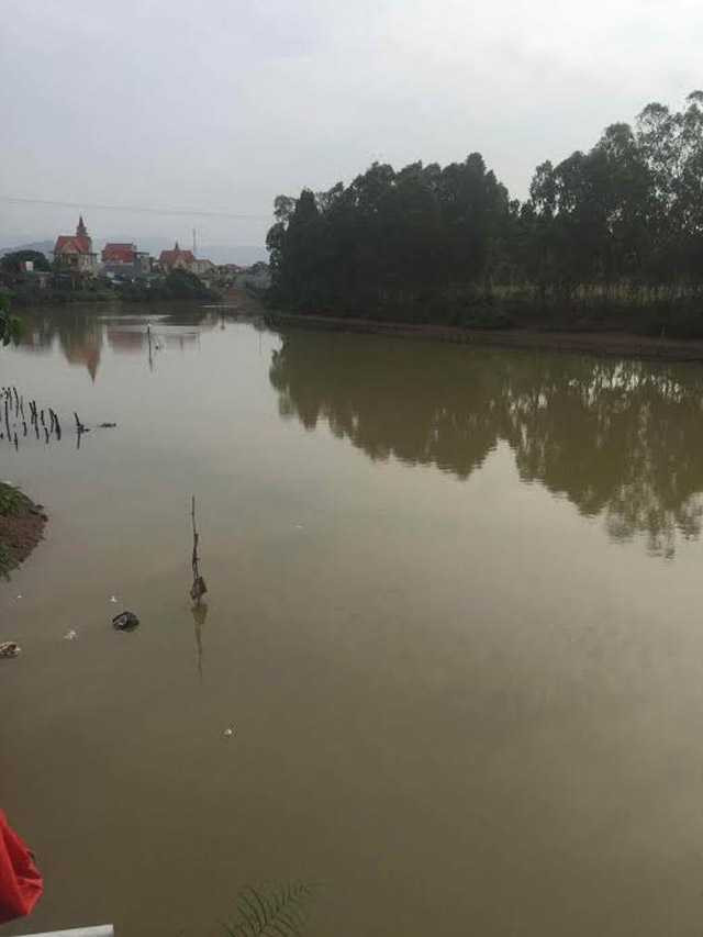 nghe an: khong xa nuoc ho vuc mau, ql 7 bi chia cat hinh anh 1