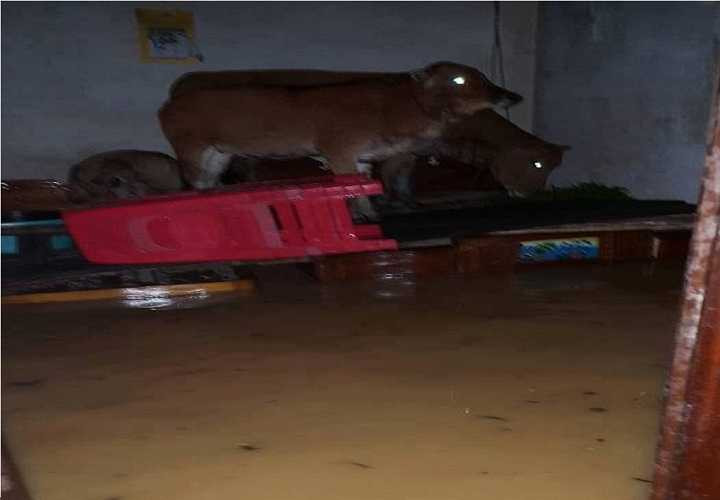 14656252_1136275669759944