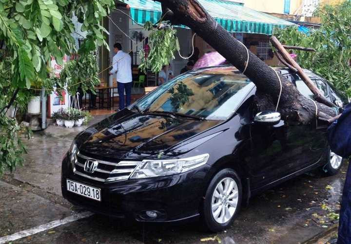 14724145_745398932264953_1890778070_o-1113