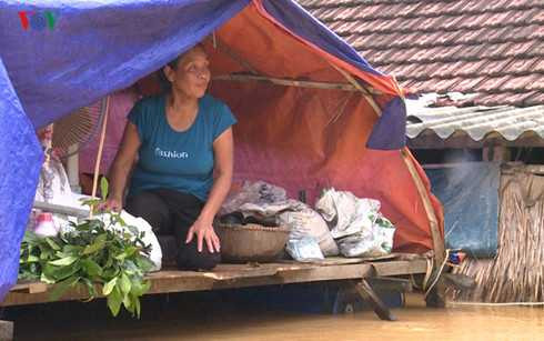 cac hang hang khong nhan van chuyen mien phi do cuu tro den mien trung hinh 1