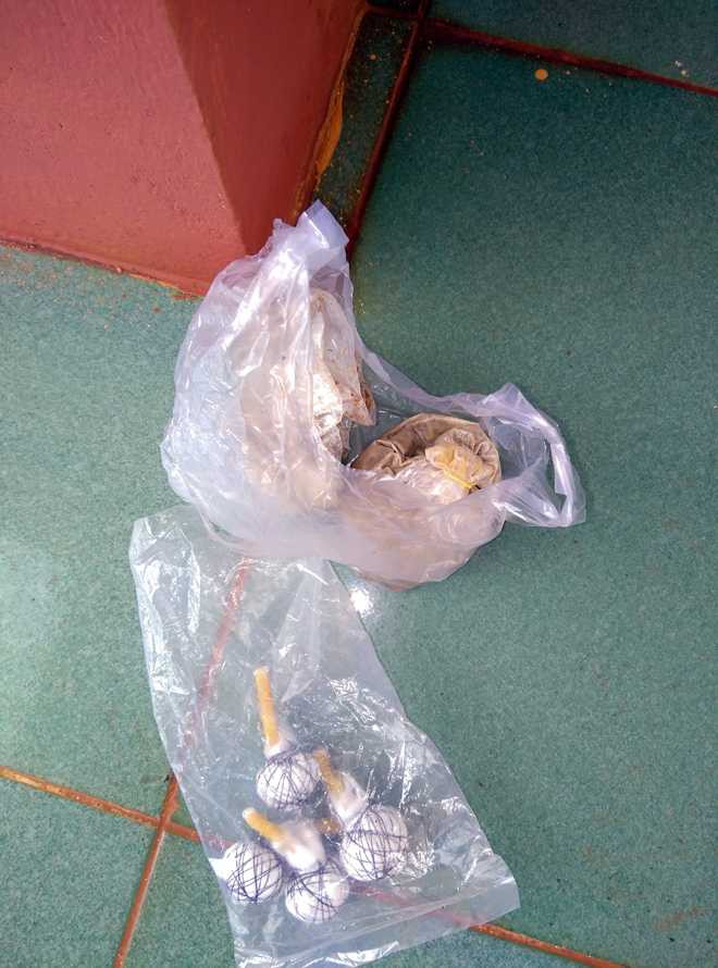 Kẻ trộm chó bị dân làng vây đánh ngất xỉu ảnh 1