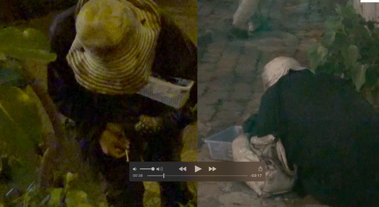 Giả bệnh tật để xin ăn, mỗi ngày đối tượng này thu về hàng triệu đồng rồi chích ma tuý - Ảnh cắt từ clip