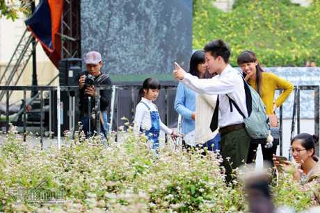 Selfie ben rung hoa tam giac mach giua Ha Noi - Anh 10