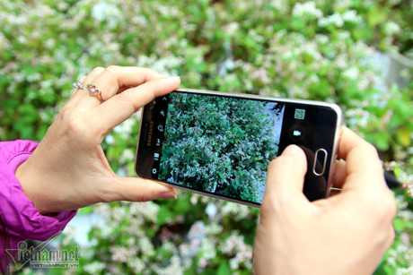 Selfie ben rung hoa tam giac mach giua Ha Noi - Anh 13