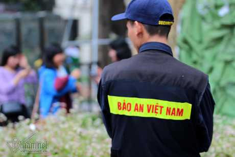 Selfie ben rung hoa tam giac mach giua Ha Noi - Anh 14