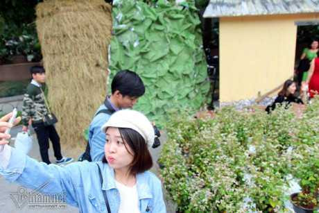 Selfie ben rung hoa tam giac mach giua Ha Noi - Anh 5