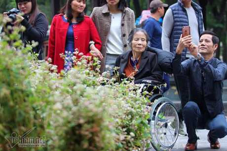 Selfie ben rung hoa tam giac mach giua Ha Noi - Anh 6