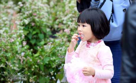 Selfie ben rung hoa tam giac mach giua Ha Noi - Anh 7