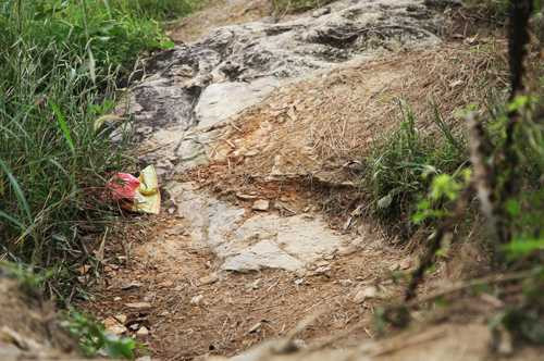 Hàng trăm lối đường mòn ở làng đại học dẫn vào bờ hồ.