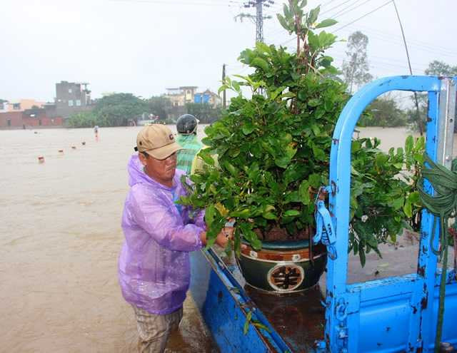 Mai đưa lên xe ba gác để đưa lên khu vực không bị lũ tấn công