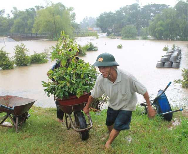 Người vận chuyển mai lên bờ rất khẩn trương