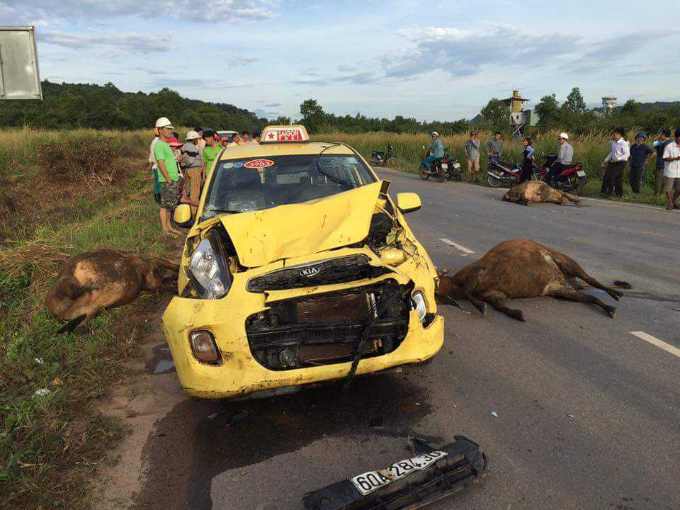 Hiện trường vụ tai nạn /// Ảnh: Xuân Lam