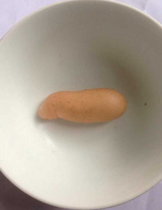 Kỳ lạ quả trứng gà giống… con heo