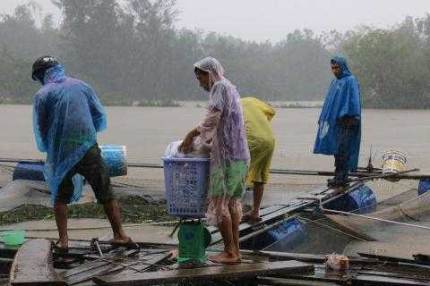 Cong ty xa lu noi dan chu quan moi thiet hai?