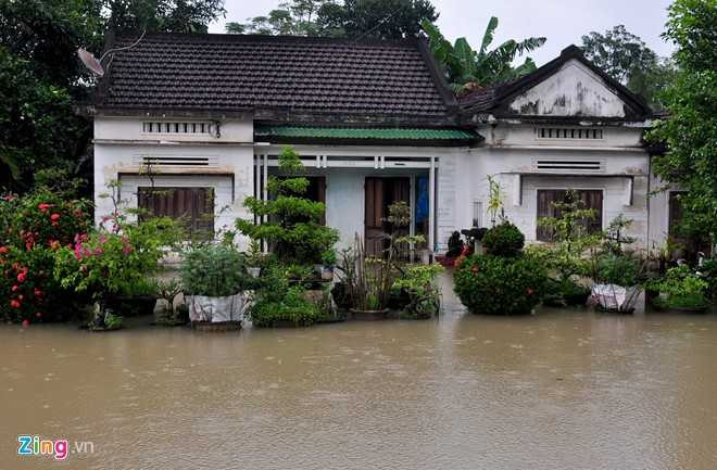 Dan Quang Ngai ganh hai tran lu trong mot ngay hinh anh 3